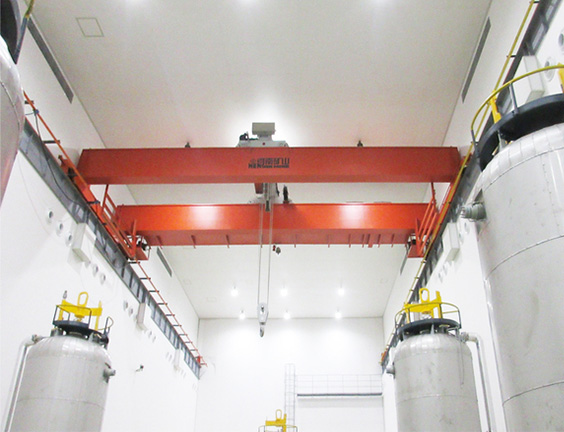 Clean Explosion-Proof Overhead Crane